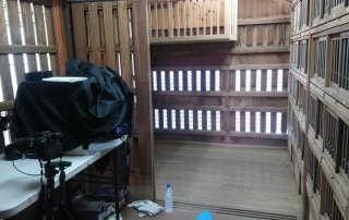 冠軍鴿舍