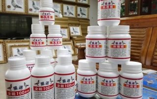 熱毒癀+全能100
