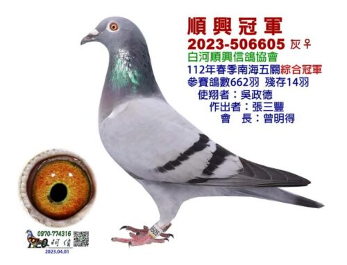 2023年台南白河順興春季南海五關綜合入賞鴿欣賞