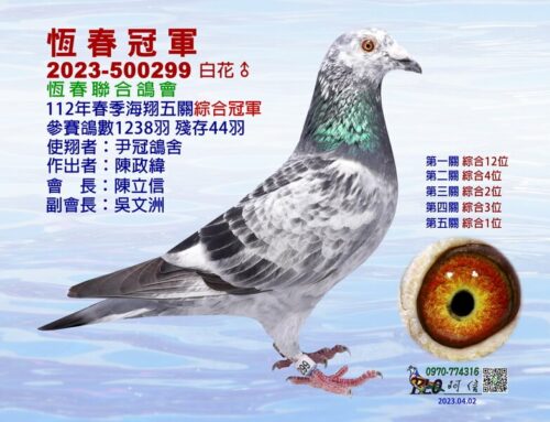 2023年恆春聯合會春季南海五關綜合入賞鴿欣賞