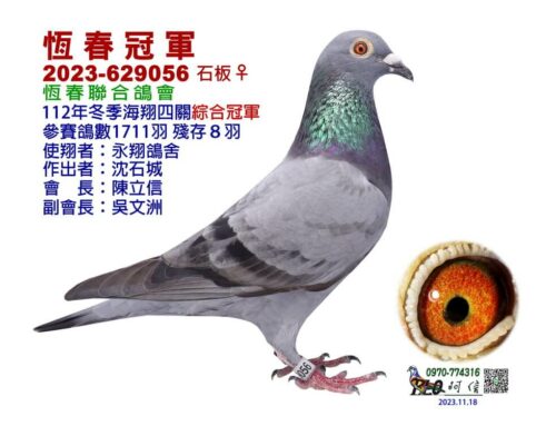 2023年恆春聯合會冬季南海四關綜合入賞欣賞