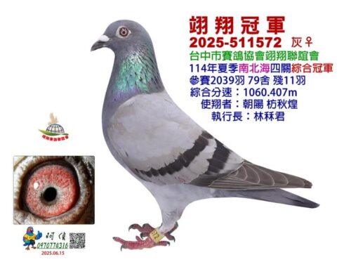 2025年台中翊翔夏季南北海四關綜合入賞鴿欣賞
