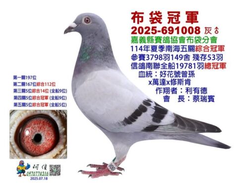 2025年嘉義布袋分會夏季南海五關綜合入賞鴿欣賞