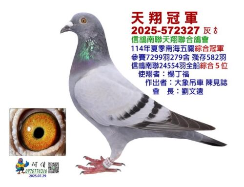 2025年高雄天翔夏季南海五關綜合入賞鴿欣賞