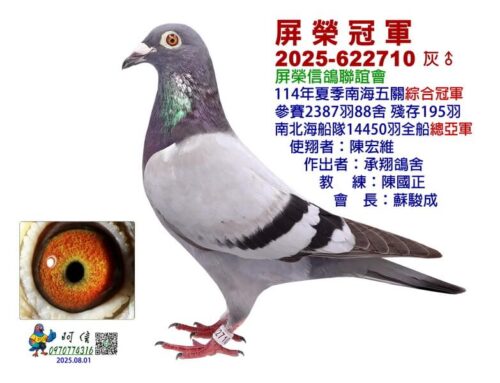 2025年屏榮信鴿聯誼會夏季南海五關綜合入賞鴿欣賞
