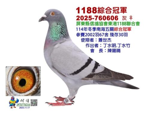 2025年東港1188冬季南海五關綜合入賞鴿欣賞
