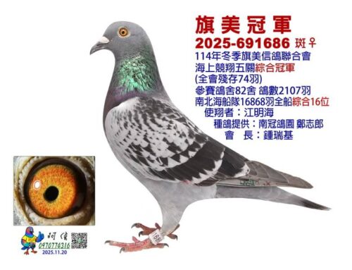 2025年旗美信鴿聯合會冬季南海五關綜合入賞鴿欣賞