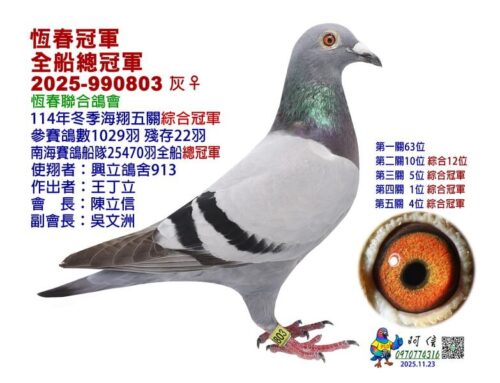 2025年恆春聯合會冬季南海五關綜合入賞鴿欣賞