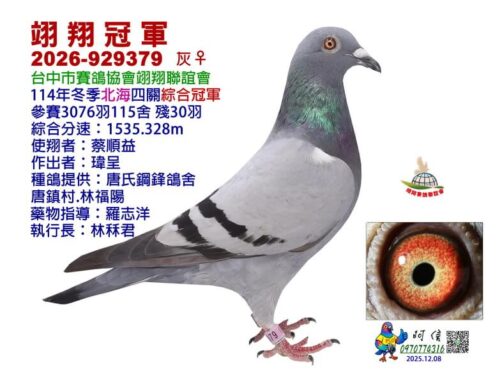 2025年台中翊翔冬季北海四關綜合入賞鴿欣賞
