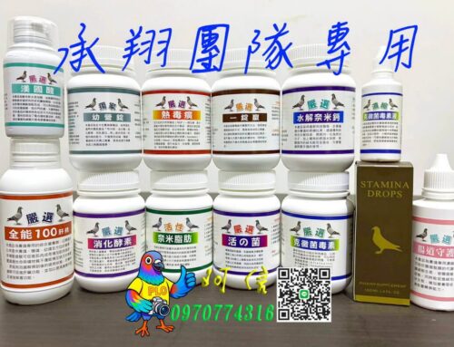 (恭喜)-(承翔團隊專用產品)承翔鴿舍25年冬季作出入賞紀錄