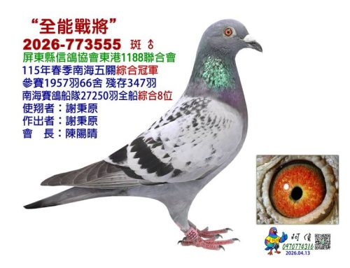 2026年東港1188春季南海五關綜合入賞鴿欣賞