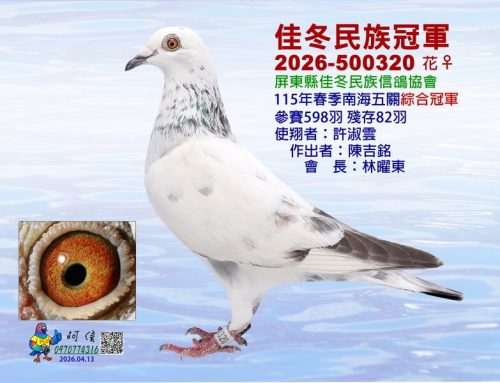 2026年屏東佳冬民族春季南海五關綜合入賞鴿欣賞