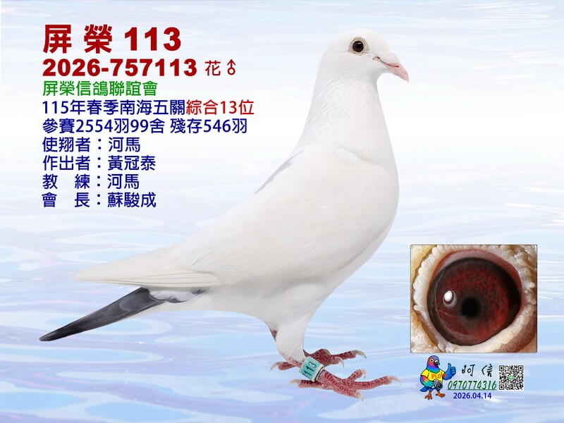 13-26-757113F1-15吋