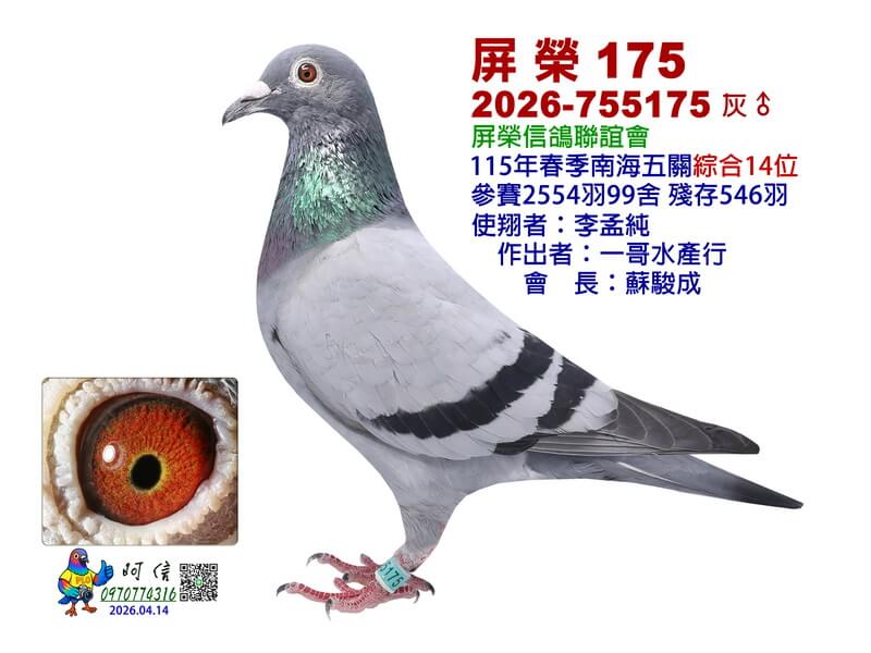 14-26-755175B1-15吋