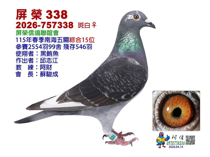 15-26-757338DCW0-15吋