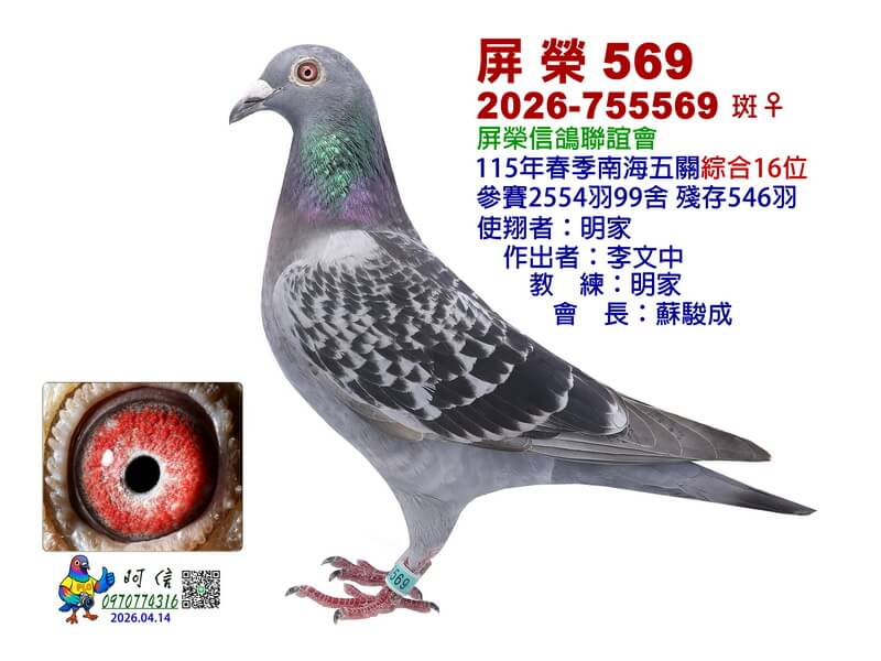 16-26-755569BC0-15吋X2