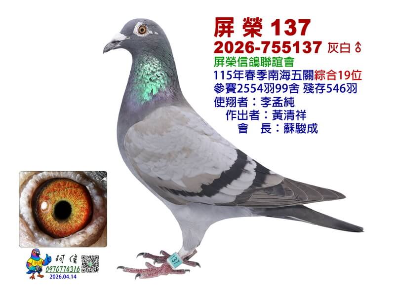 19-26-755137BW1-15吋