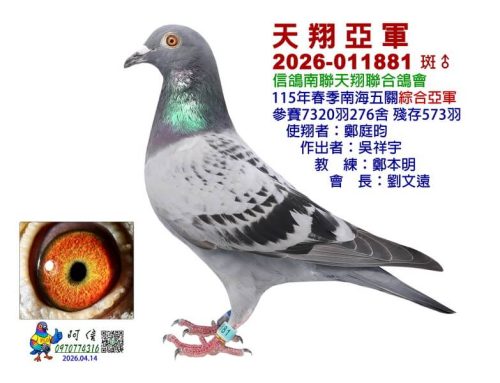 2026年高雄天翔春南海五關綜合入賞鴿欣賞