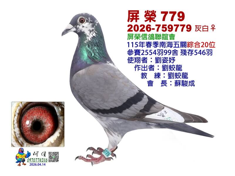 20-26-759779BW0-15吋