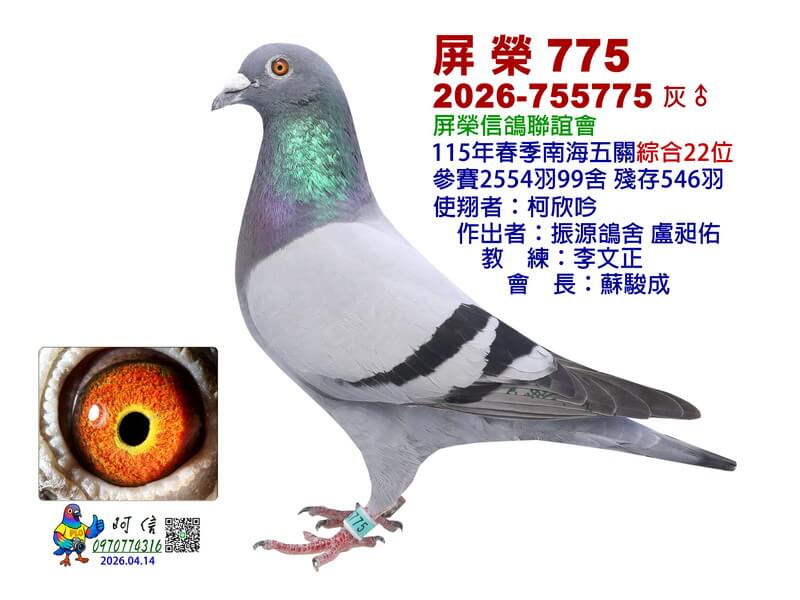 22-26-755775B1-15吋