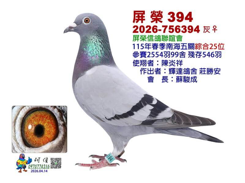 25-26-756394B0-15吋