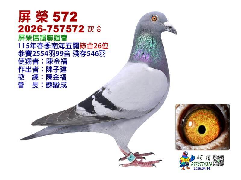 26-26-757572B1-15吋