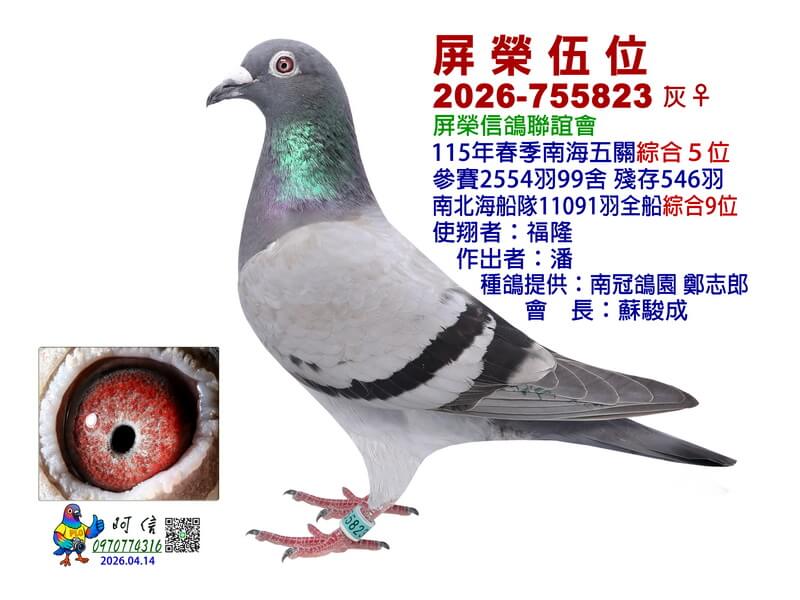 5-26-755823B0-15吋