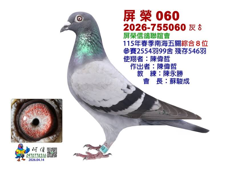 8-26-755060B1-15吋