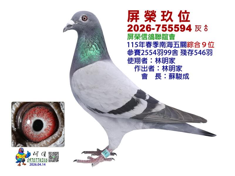 9-26-755594B1-15吋