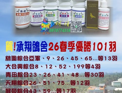 -(承翔團隊專用產品)承翔鴿舍26年春季作出入賞紀錄