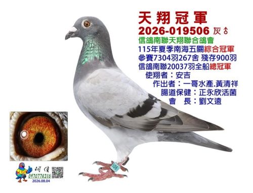 2026年高雄天翔夏季南海五關綜合入賞鴿欣賞