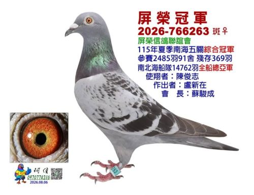 2026年屏榮信鴿聯誼會夏季南海五關綜合入賞鴿欣賞